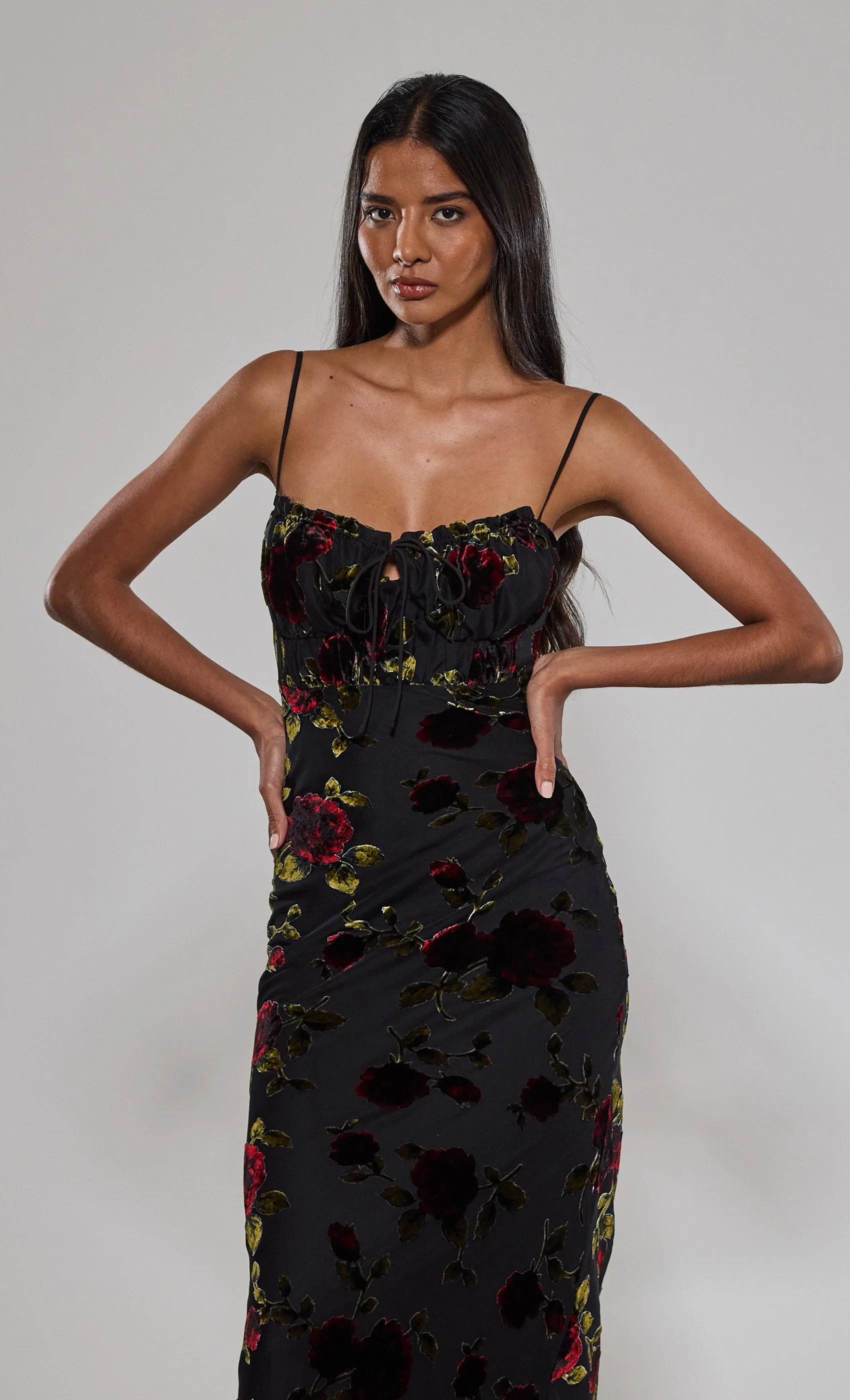 Devore Rose Tie Maxi Dress